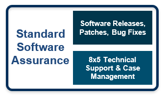 Standard software assurance